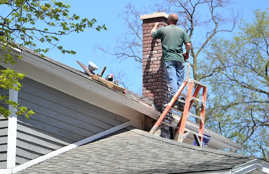 Chimney & Fireplace Inspections Services in Wheat Ridge, CO